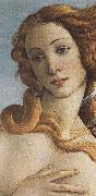 The Birth of Venus (mk36) botticelli